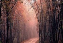 九游体育：河床主席来伯纳乌球场观赛，并向老佛爷赠送球衣.