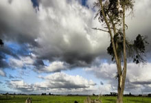 九游体育：F1中国大奖赛落幕人民日报.