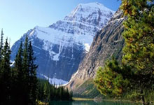 九游体育：马祖拉：布朗一直在护理膝盖 为处于最佳状态他会做所需要的一切.