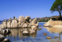 九游体育:主力选手领衔!法兰克福站,国乒会回暖吗?环球时报.